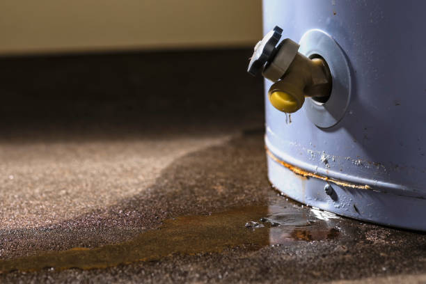 Best Basement water damage restoration  in Mountain Lake Park, MD