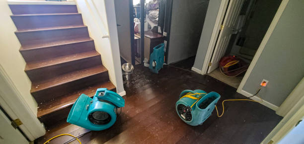 Best Residential water damage restoration  in Mountain Lake Park, MD