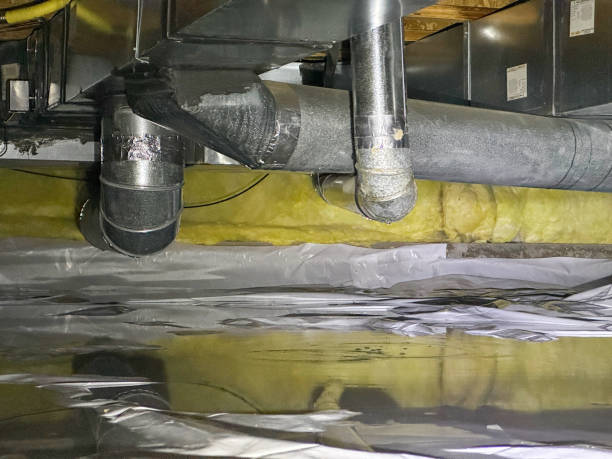 Best Mold removal after water damage  in Mountain Lake Park, MD