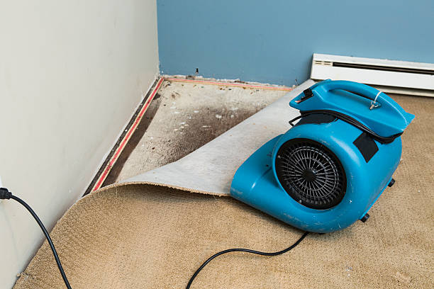 Water damage restoration experts in Mountain Lake Park, MD
